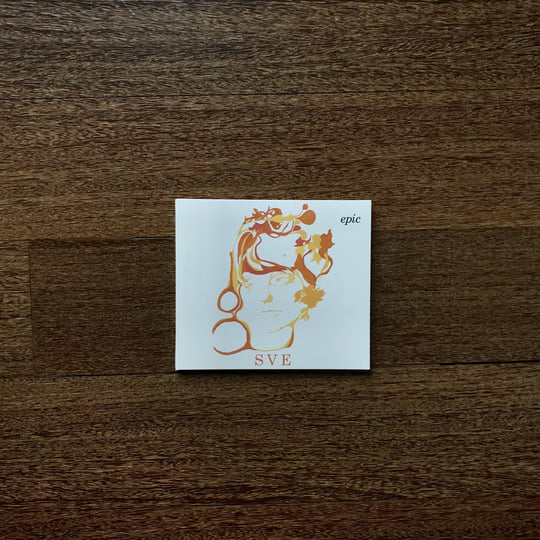 米2LP Sharon Van Etten Epic Ten BING167 Ba Da Bing! 未開封 /00520 Epic | Sharon Van Etten | Ba Da Bing Records