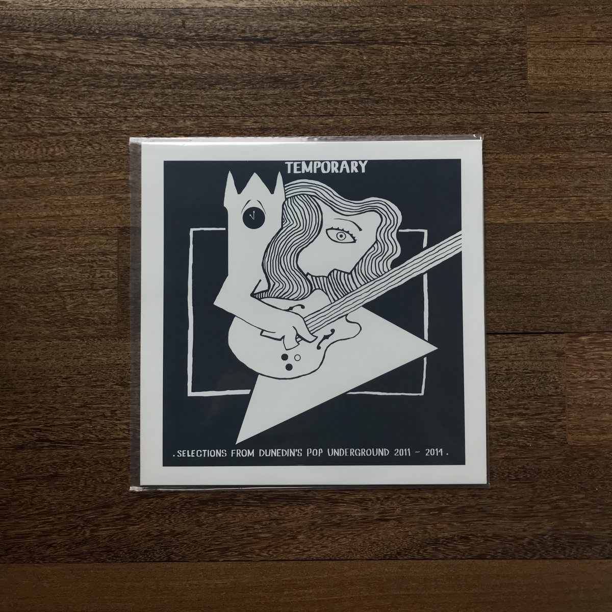 Temporary - Selections From Dunedin's Pop Underground 2011-2014