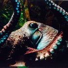 el_ke thumbnail