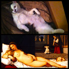 jules verdone thumbnail