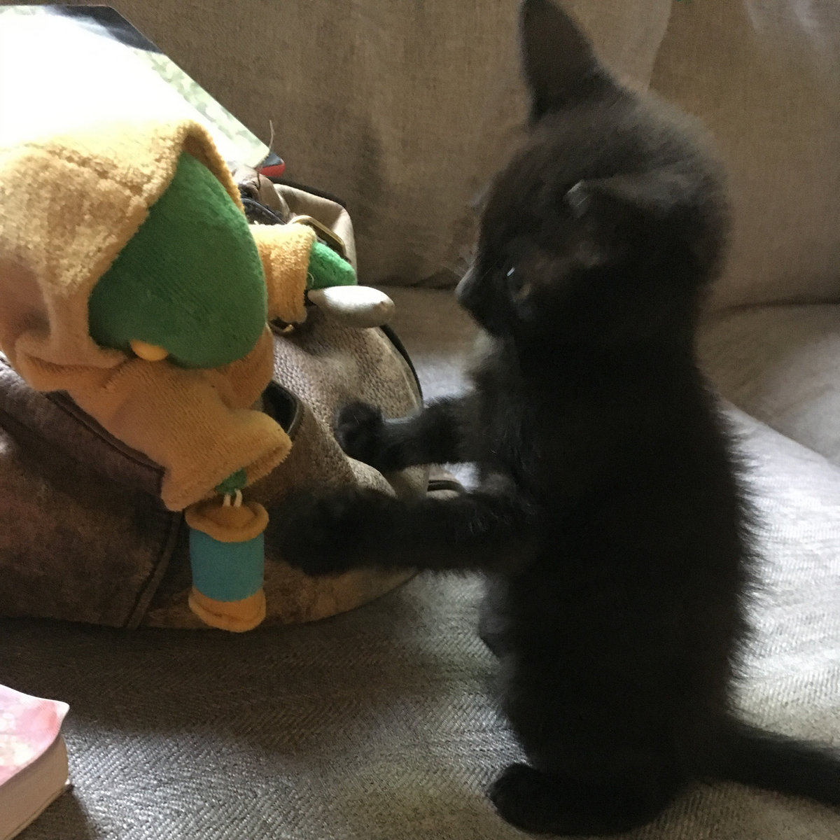 Pony island + soundtrack crack