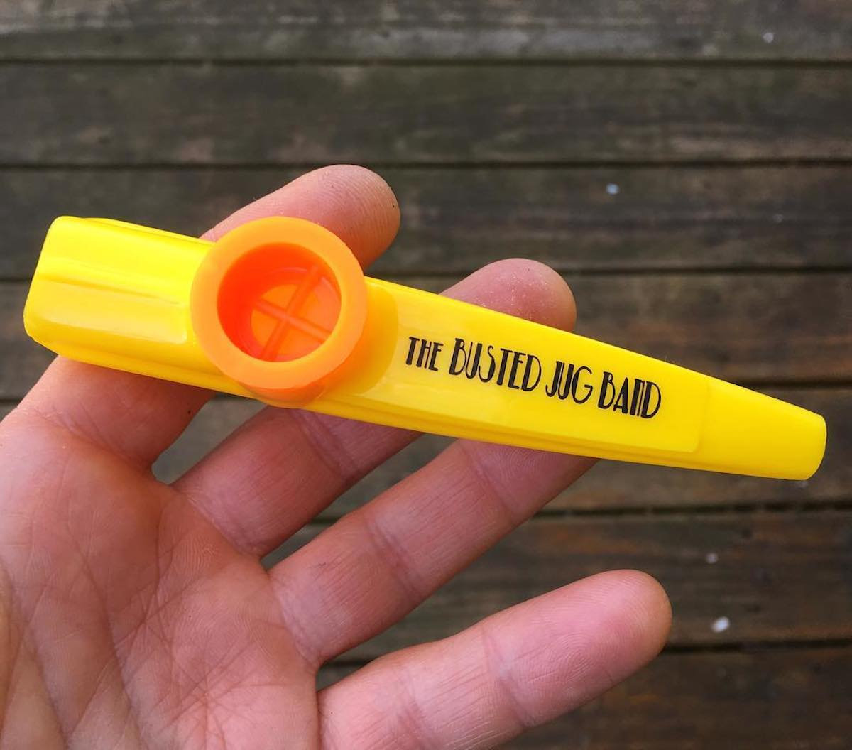 Branded Busted Jug Band Kazoo! The Busted Jug Band