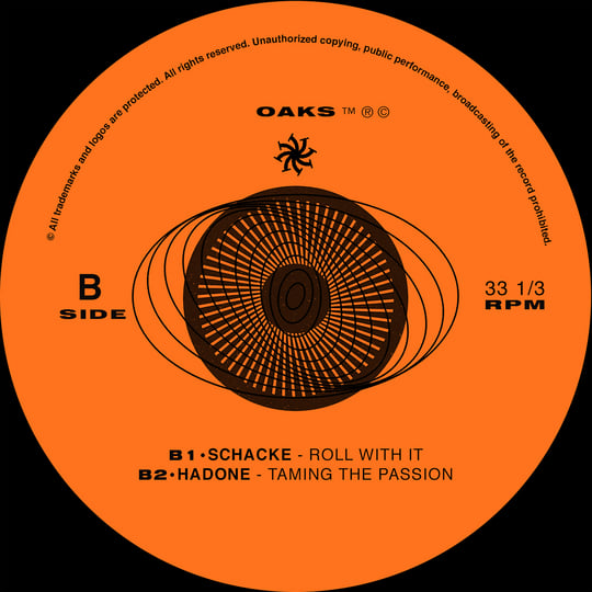 A LOT OF CHAOS | Millimetric / D.Dan / Schacke / Hadone | Héctor Oaks