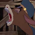 girlwithdonkeytail thumbnail
