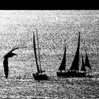 woman_on_the_bluff thumbnail