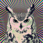 Djincypha thumbnail