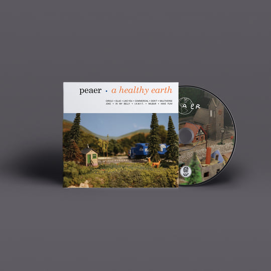 A Healthy Earth | peaer