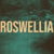 Roswellia thumbnail