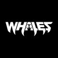 Whales image