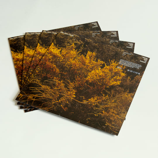 Tracing Back The Radiance | Jefre Cantu-Ledesma