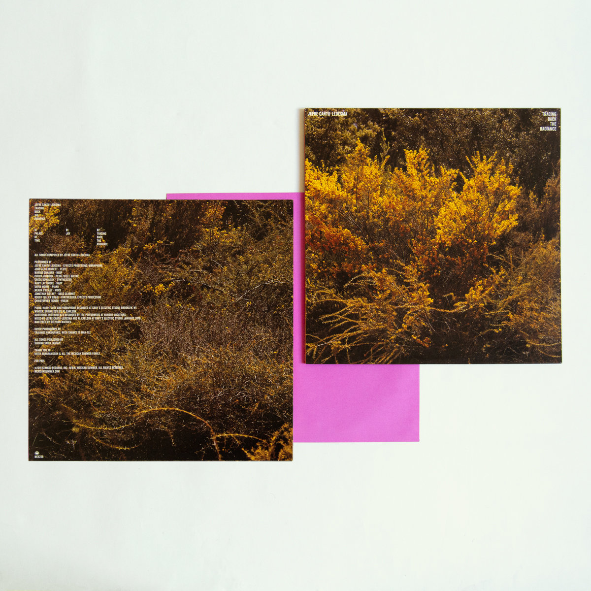 Tracing Back The Radiance | Jefre Cantu-Ledesma