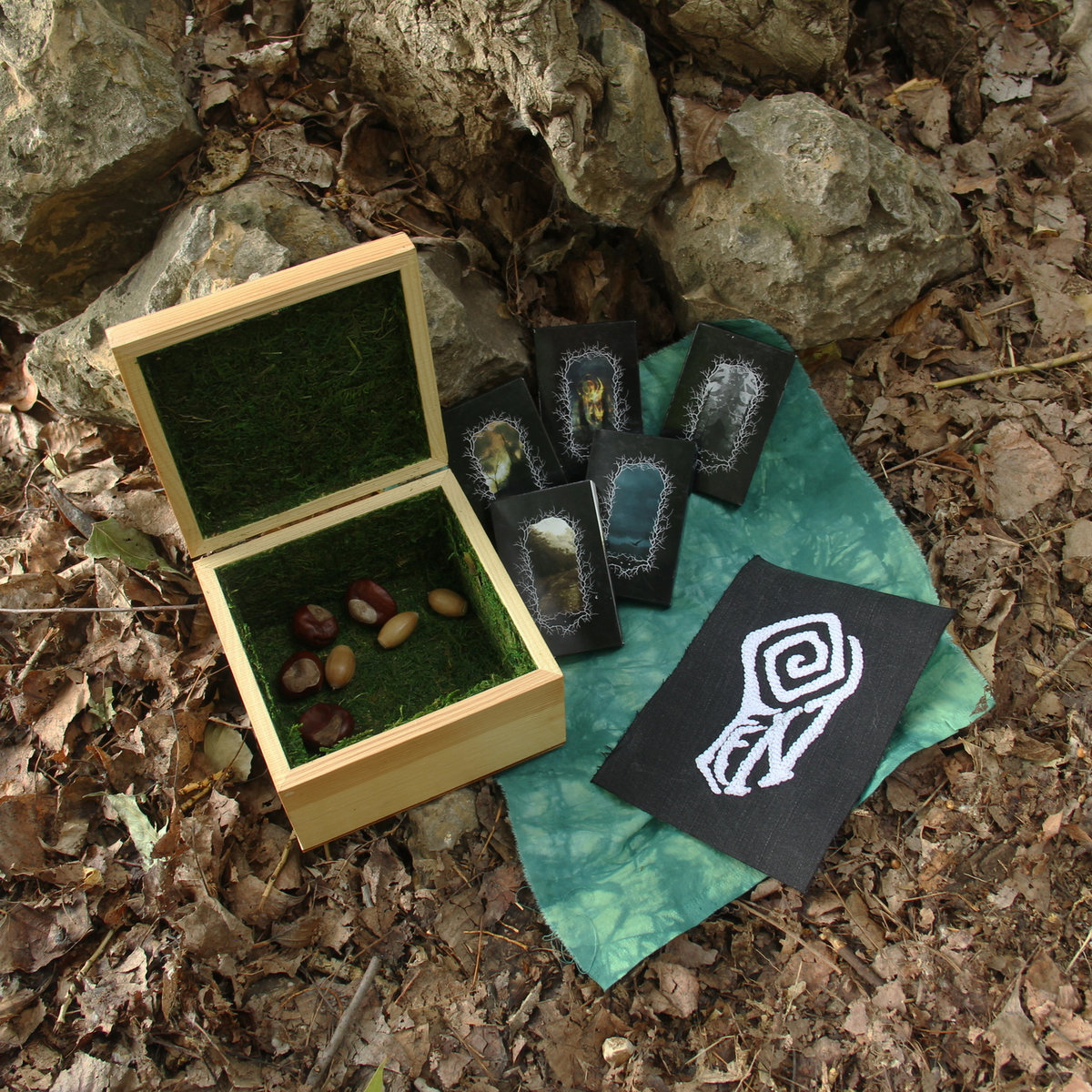 Fen - Album Discography (collector's edition box set) | NIOS
