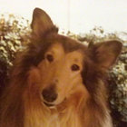 tpeck111 thumbnail