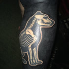 Carcass Aotearoa thumbnail