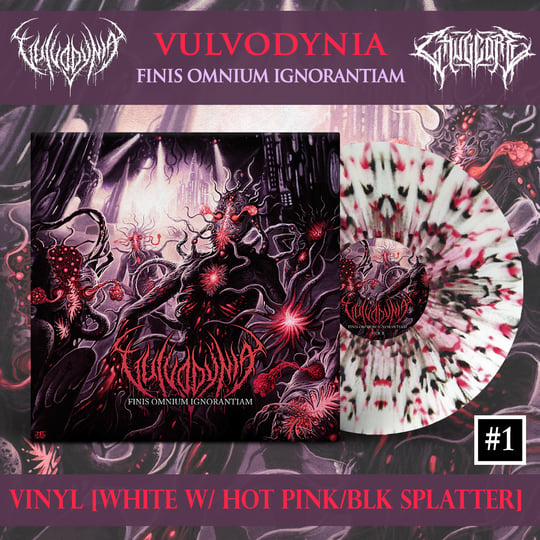 Finis Omnium Ignorantiam | Vulvodynia | Chugcore