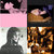 ArchealogistMuse thumbnail