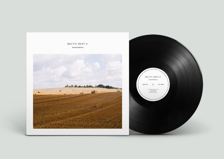 Bartosz Kruczyński Baltic Beat LPレコード