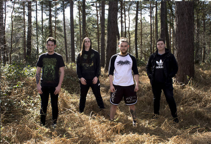 Music | Visions Of Disfigurement
