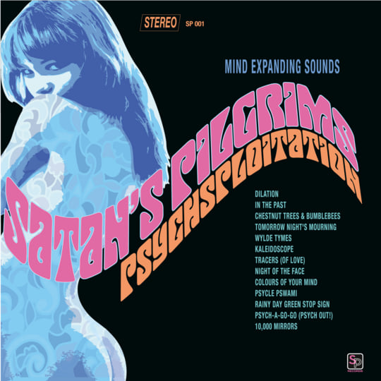 THE PILGRIMS / LPサイコビリー ROCKABILLY THE PILGRIMS / LPサイコビリー ⁄ PSYCHOBILLY⁄LP(レコード