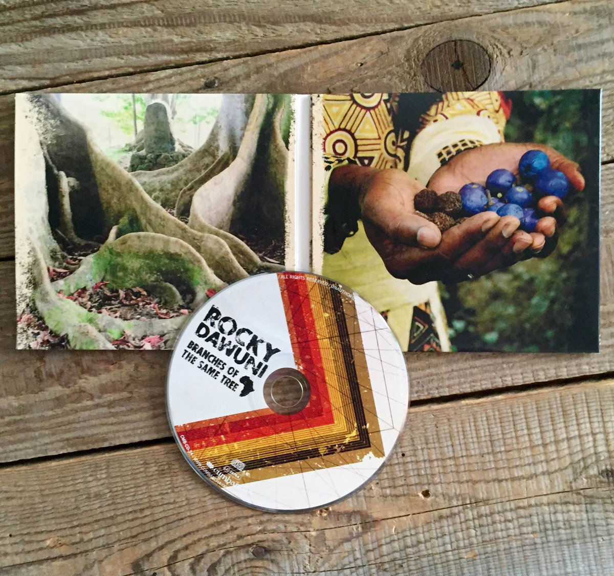 Branches of the Same Tree Rocky Dawuni