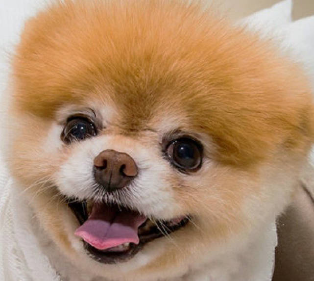 Mis sentimientos por ti son más feos que tu novia Las Yumbeñas