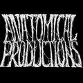 Anatomical Productions image