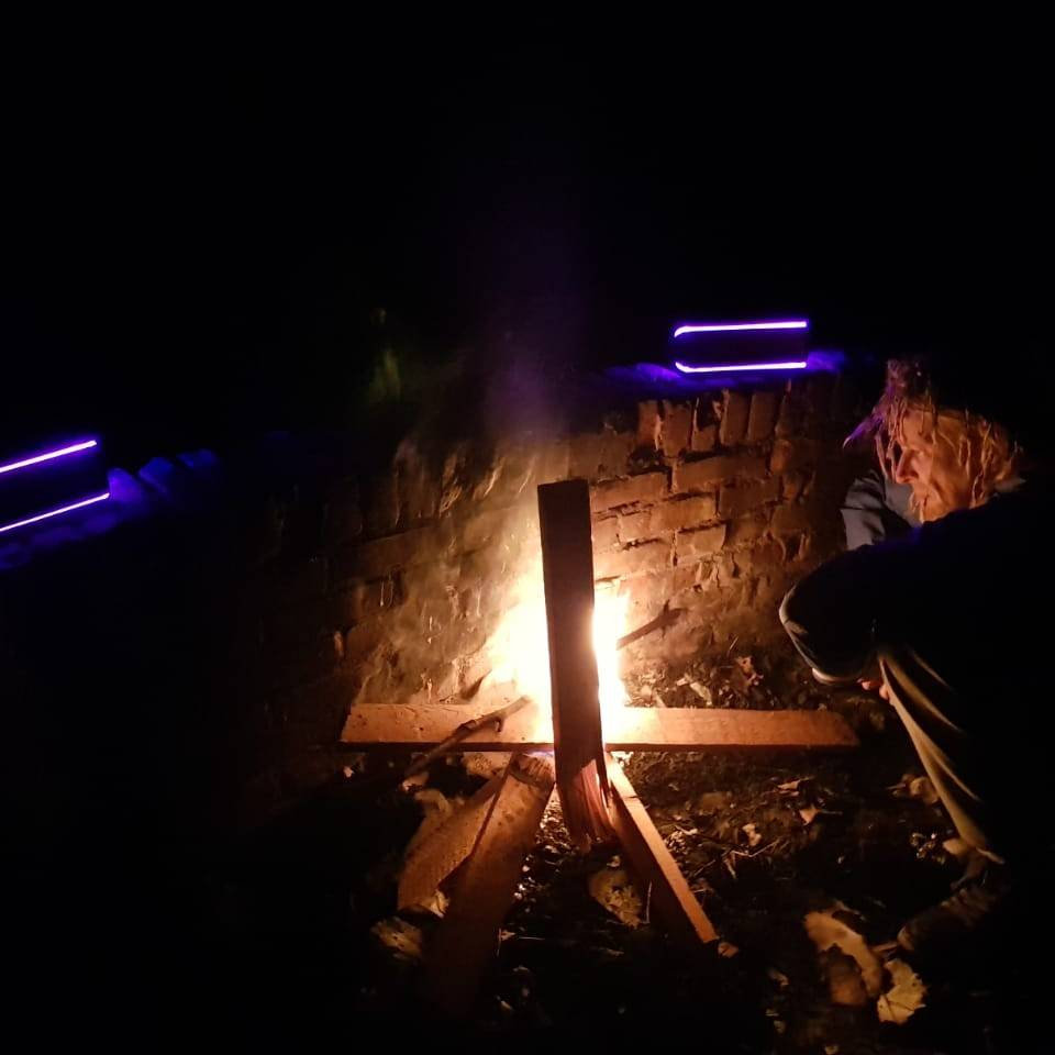 The Divine Move Vampillia Virgin Babylon Records