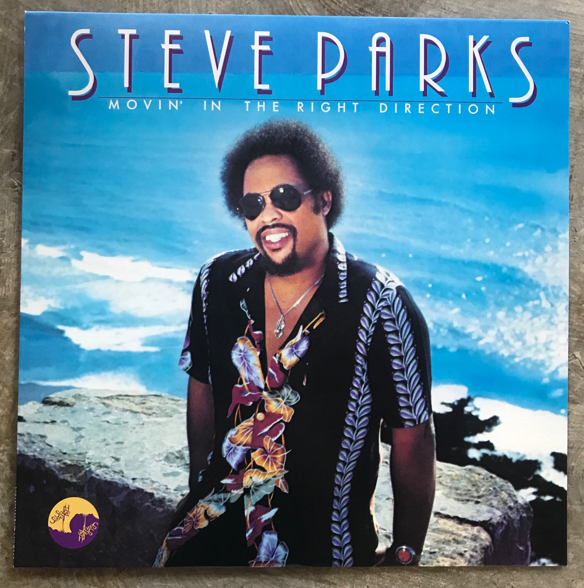 【廃盤新品LP】Steve Parks / Movin' In The Righ Movin' In The Right Direction LP (Limited Pressing) | Steve