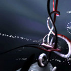 gnarly_parker thumbnail