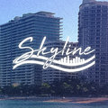 Skyline Collective image