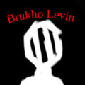 BrukhoLevin image