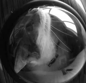 8tracks christmas instrumental