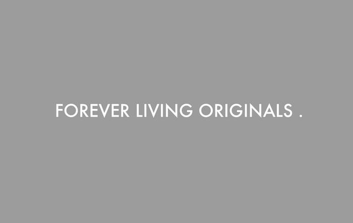 SAULT - Untitled (God) 2xLP Forever Living Originals