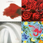 Eraldo Bernocchi/Harold Budd/Robin Guthrie - Winter Garden