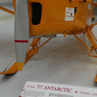 auster boy south thumbnail