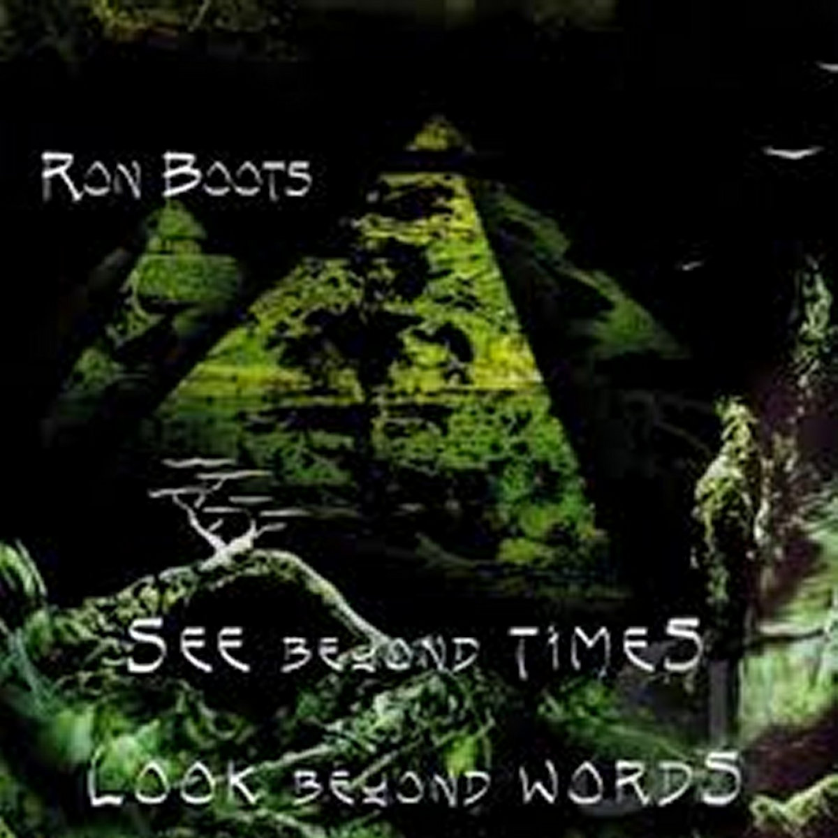 A Walk In The Rain Ron Boots