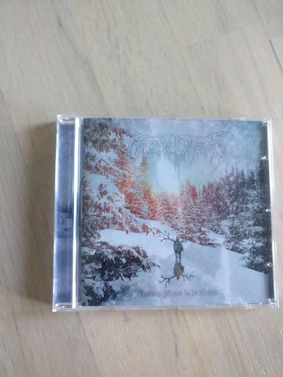 Rising From The Ashes | Frozen Dreams
