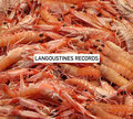 LANGOUSTINES RECORDS image