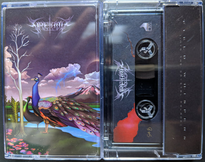 Field Whispers (Into The Crystal Palace) | Fire-Toolz | Orange