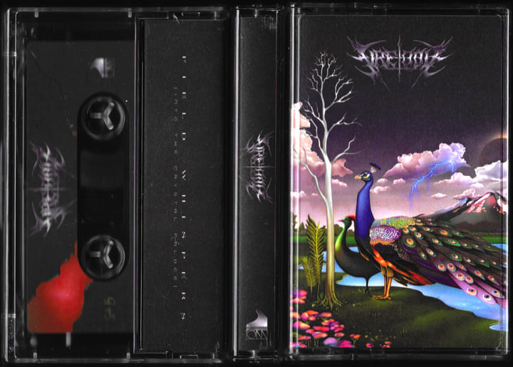 Field Whispers (Into The Crystal Palace) | Fire-Toolz | Orange