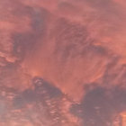 SmeXner thumbnail