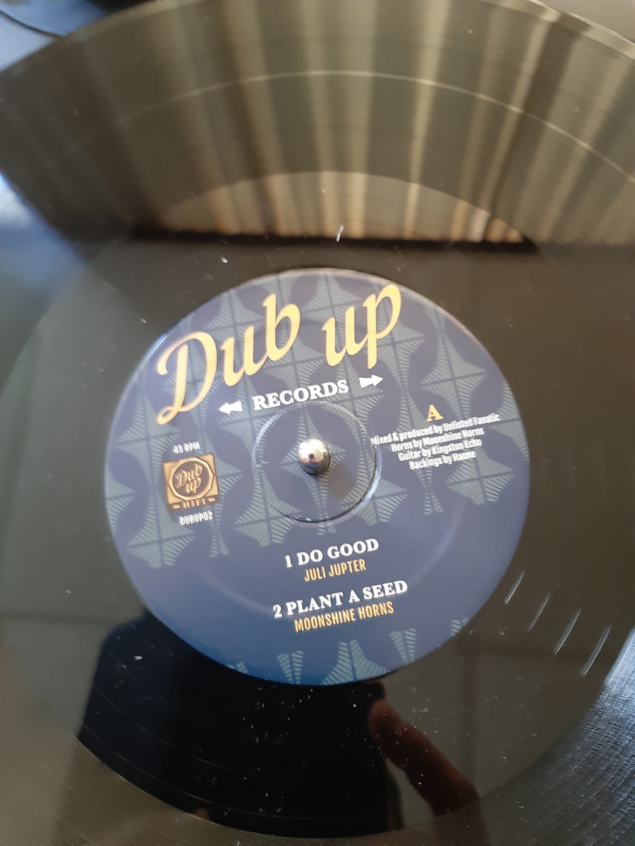 12" Vinyl release on Dub Up Records vinyl only ! Unlisted Fanatic