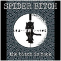 Spider Bitch image