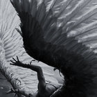 Seraphim_fallen thumbnail