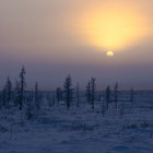 Helfærð thumbnail