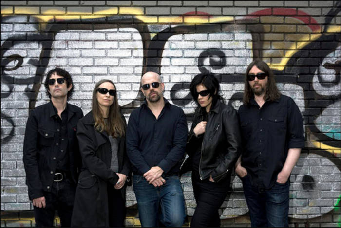 Brood X | Boss Hog