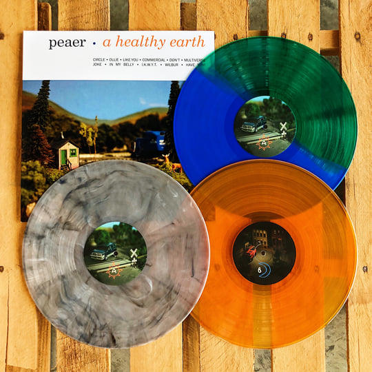 A Healthy Earth | peaer