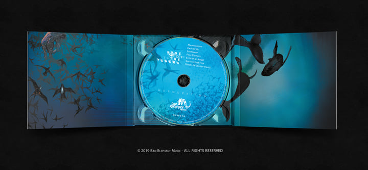 Murmuration | Suns Of The Tundra