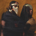 Raw Fruit Vol. 5 & 6 | Ras G | Ras_G & The Afrikan Space Program