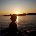 fiene_bee thumbnail